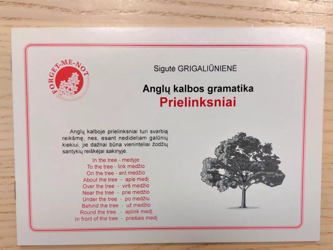 Anglų kalbos gramatika: veiksmažodžiai, būdvardžiai, prielinksniai - Sigutė Grigaliūnienė, knyga 3