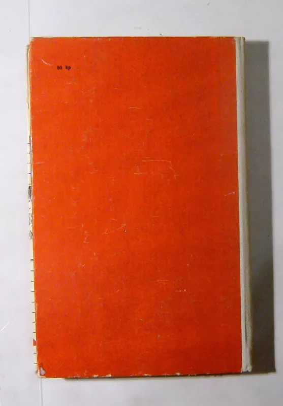 Šachmatų miesto kvadratai - D. Braneris, knyga 4