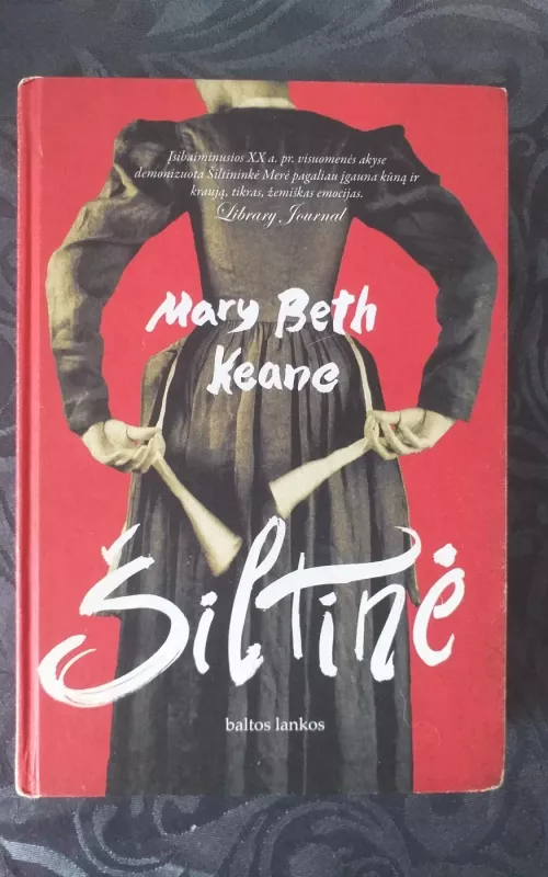 Šiltinė - Mary Beth Keane, knyga 2