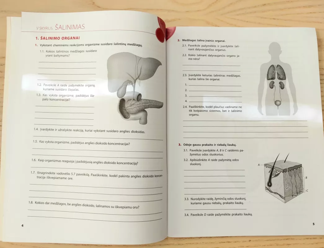 Biologijos pratybos 9kl. Antrasis sąsiuvinis - Autorių Kolektyvas, knyga 5
