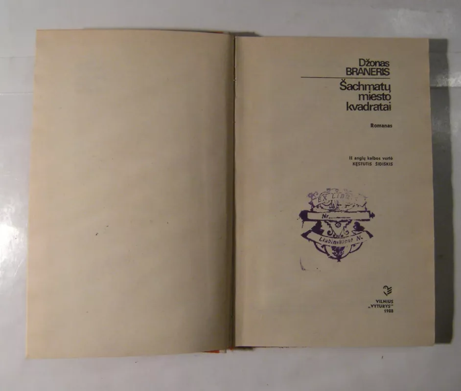 Šachmatų miesto kvadratai - D. Braneris, knyga 3