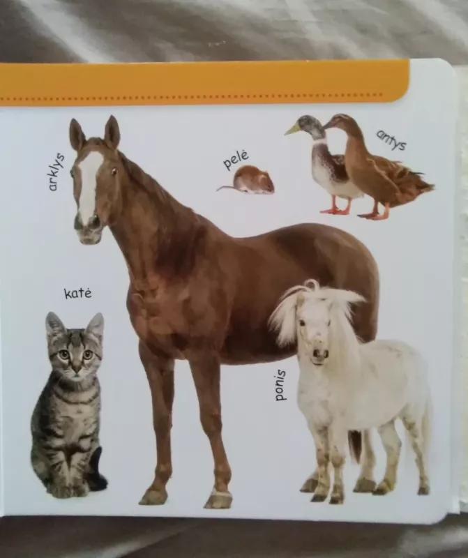 Ūkininko sodyba Vaizdinė priemonė vaikučiams lavinti (Tik paveiksliukai) - Nykstukai Trys, knyga 3