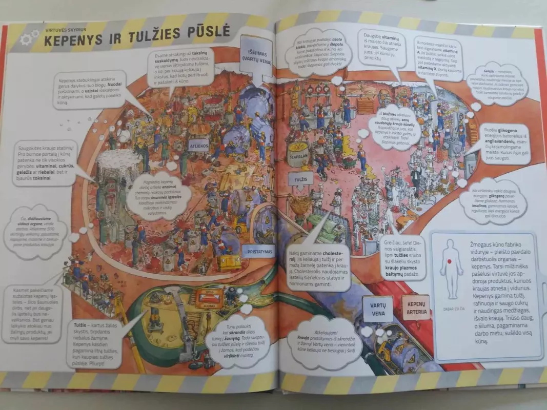 Žmogaus kūno fabrikas - Dan Green, knyga 4