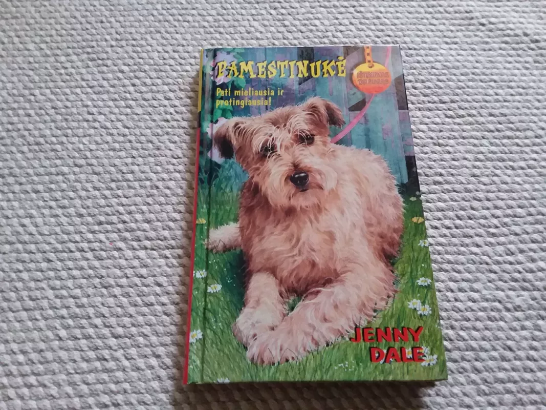 Pamestinukė - Jenny Dale, knyga 2