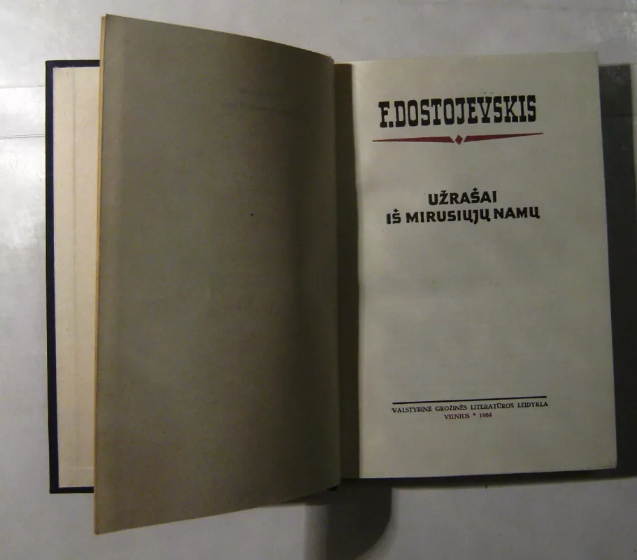Užrašai iš mirusiųjų namų - Fiodoras Dostojevskis, knyga 4