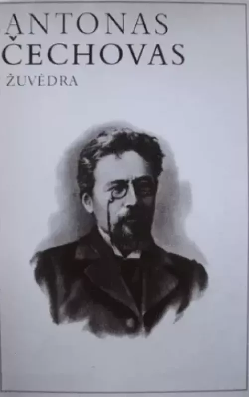 Žuvėdra - Antonas Čechovas, knyga 2