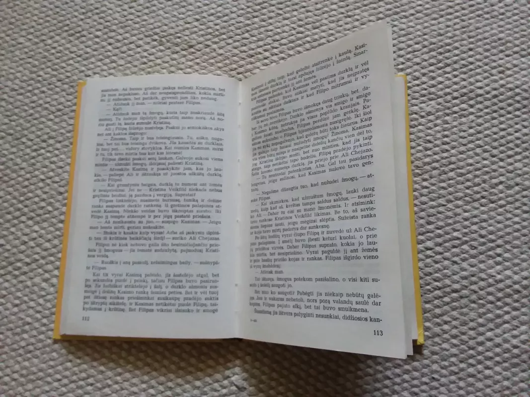 Pagrobta nuotaka - Džoana Lindsey, knyga 3