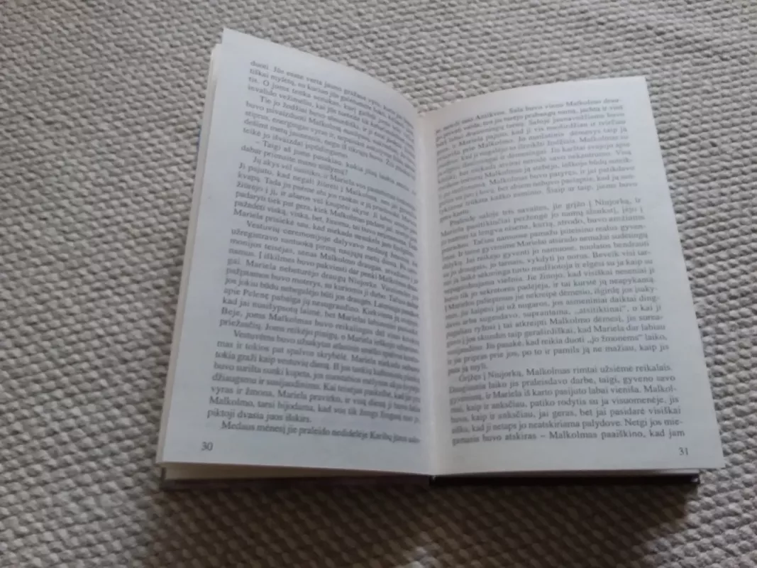 Verpetas - Danielė Styl, knyga 3