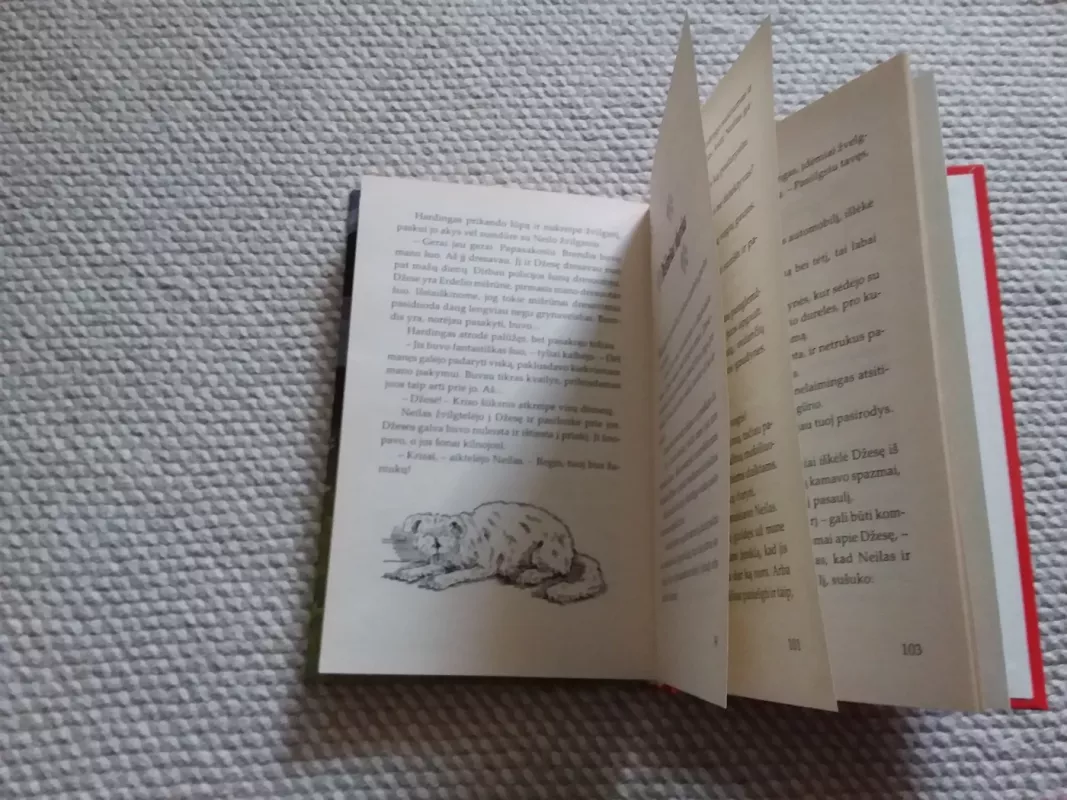 Pamestinukė - Jenny Dale, knyga 3