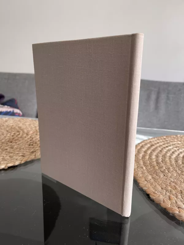 Dovydas Sasunietis - Nairi Zarianas, knyga 3