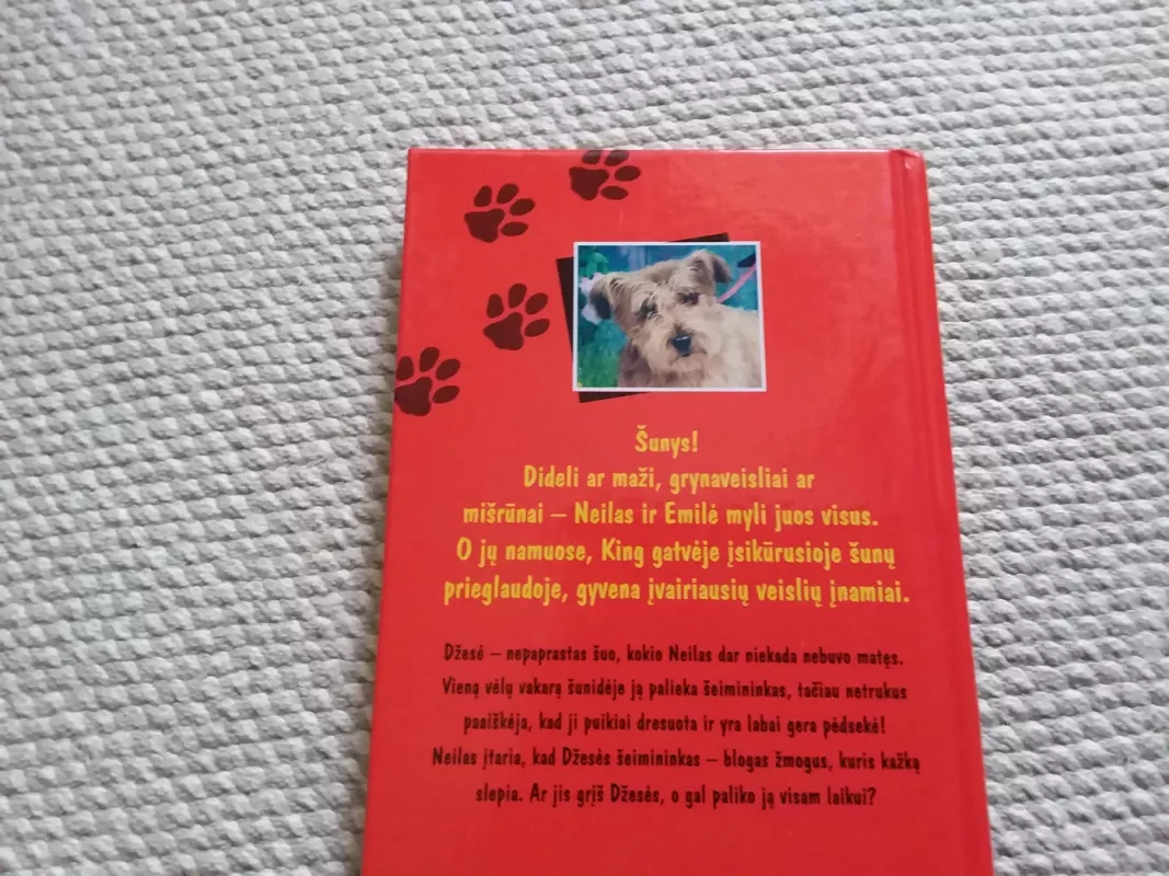 Pamestinukė - Jenny Dale, knyga 4