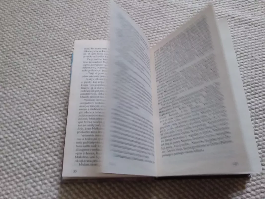 Verpetas - Danielė Styl, knyga 4