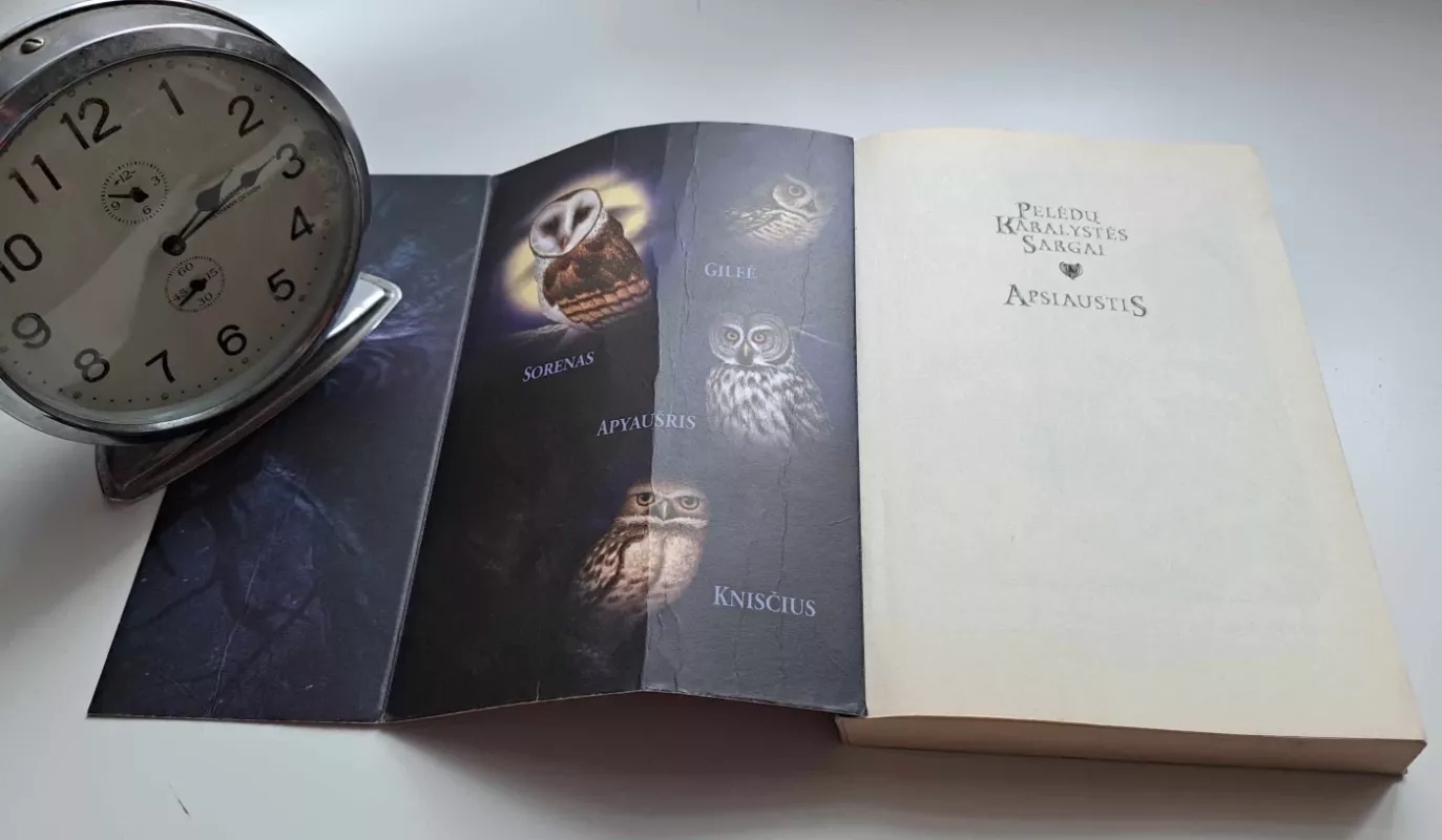 Pelėdų karalystės sargai. Apsiaustis (4 kn.) - Kathryn Lasky, knyga 4