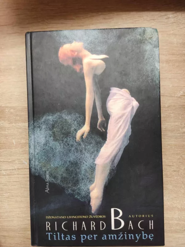 Tiltas per amžinybę - Richard Bach, knyga 3