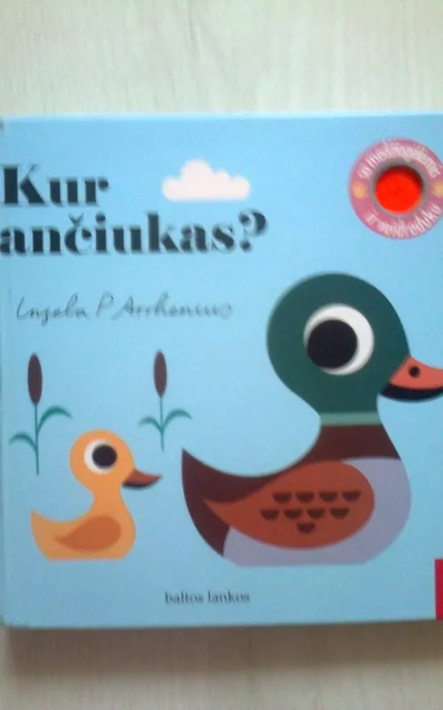 Kur ančiukas? - Ingela Arrhemus, knyga 5