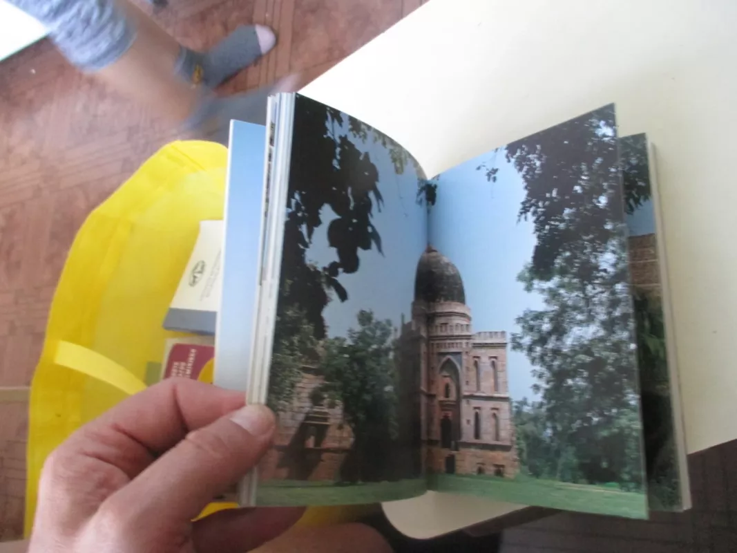 Delhi and its monuments - Promodini Varma, knyga 6