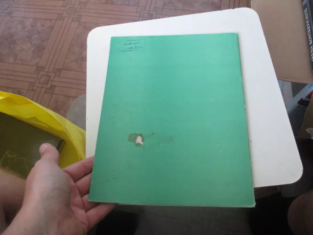 Juozas Mikėnas - Stasys Budrys, knyga 6