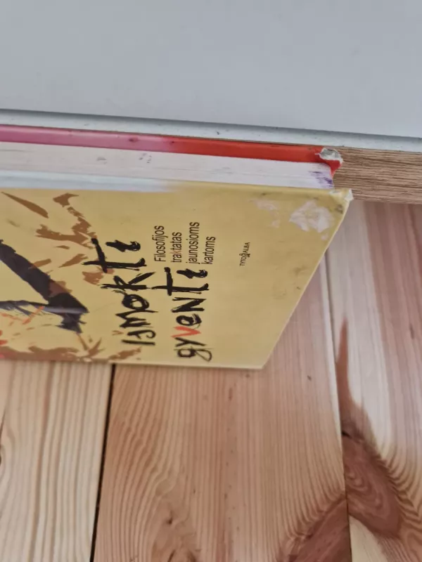 Išmokti gyventi - Luc Ferry, knyga 3