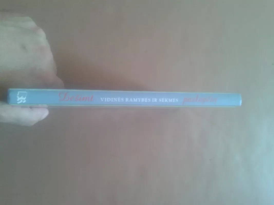 Dešimt vidinės ramybės ir sėkmės paslapčių - Wayne W. Dyer, knyga 3