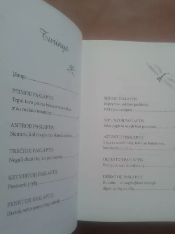 Dešimt vidinės ramybės ir sėkmės paslapčių - Wayne W. Dyer, knyga 4