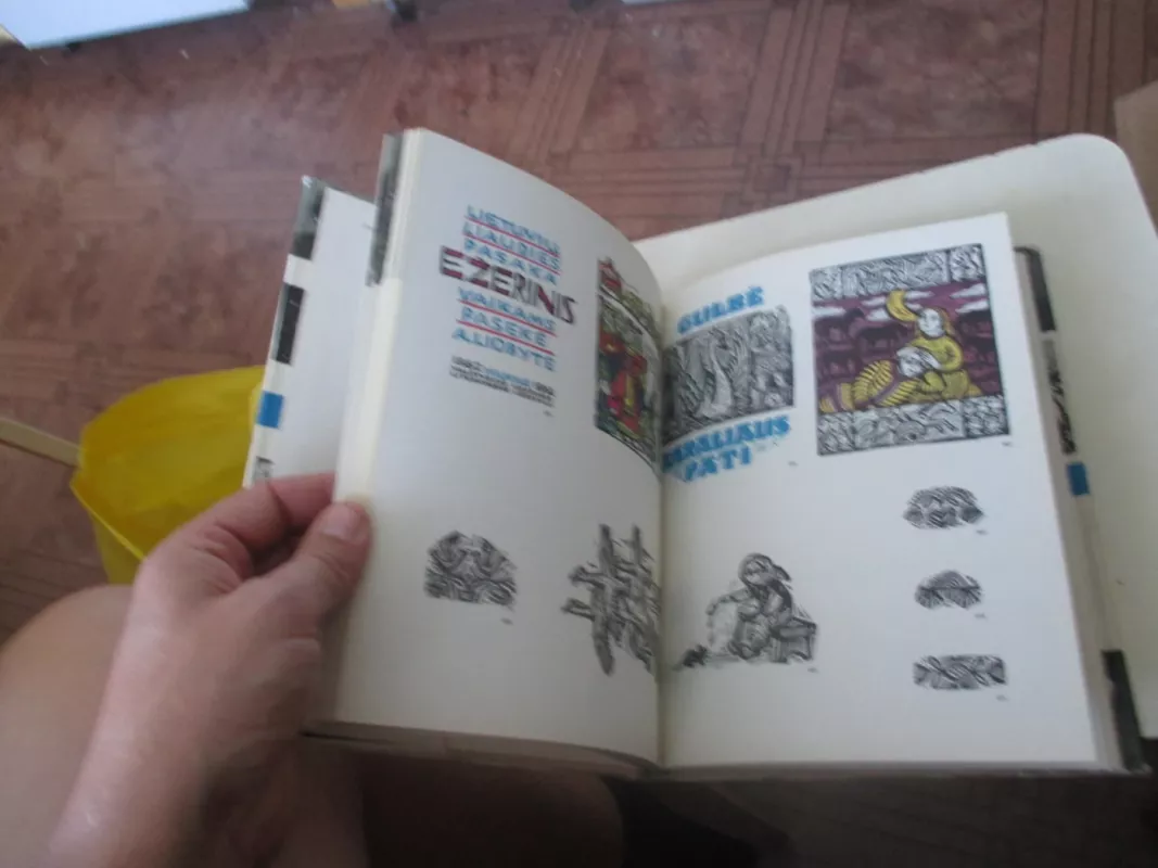 Knyga ir dailininkas - Antanas Gedminas, knyga 4