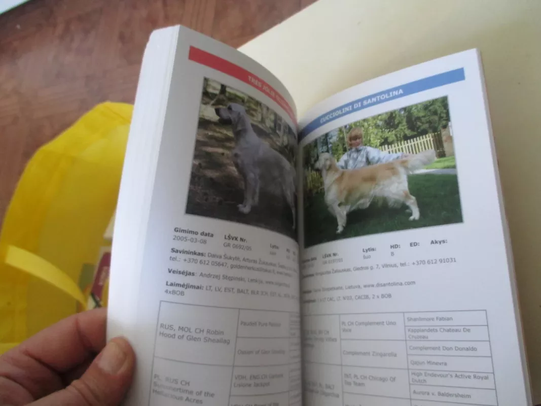 lietuvos retriverių mylėtojų klubas - Autorių Kolektyvas, knyga 6