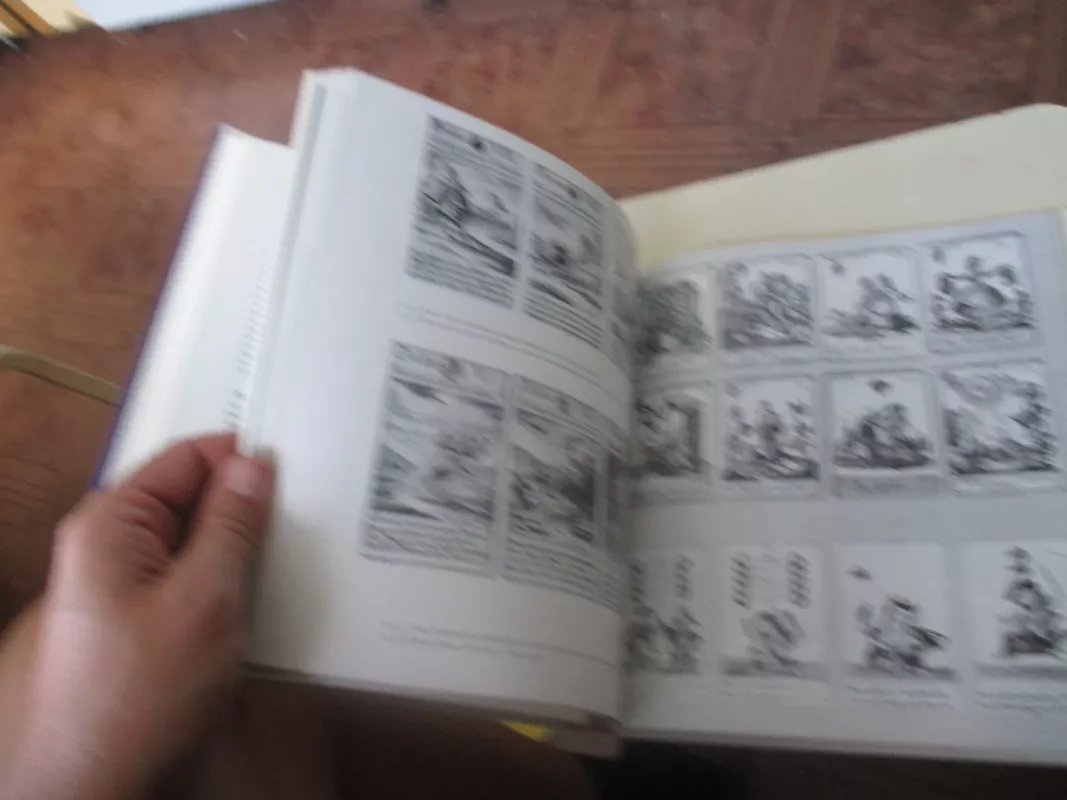 The playing card : an illustrated history / Detlef Hoffmann - Den Haag, knyga 4