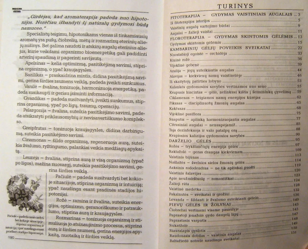 Gėlės ir žolynai liaudies medicinoje - Gailina Kavaliauskienė, knyga 5