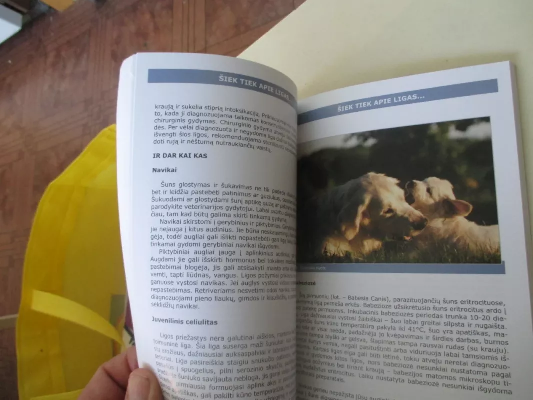 lietuvos retriverių mylėtojų klubas - Autorių Kolektyvas, knyga 5