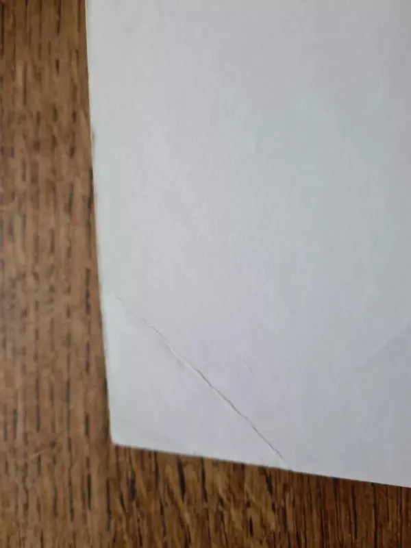 Sense and Sensibility - Jane Austen, knyga 5