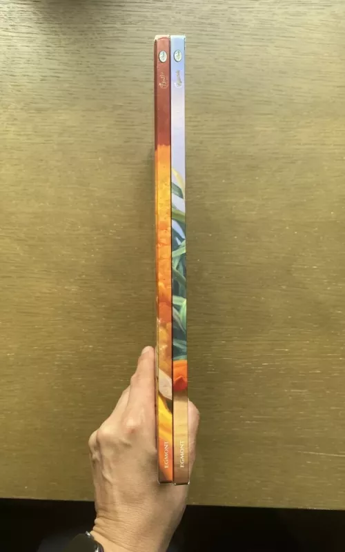 Auksarankė ir mėnulio akmuo - Autorių Kolektyvas, knyga 3