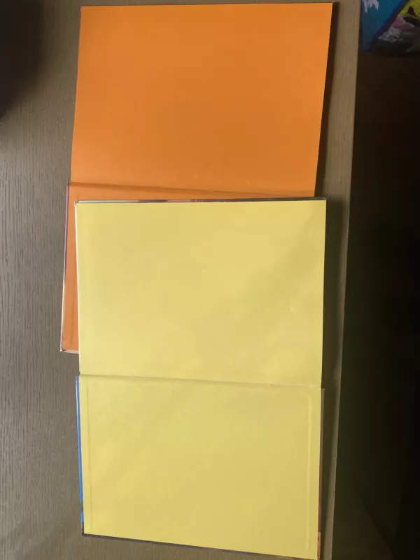 Auksarankė ir mėnulio akmuo - Autorių Kolektyvas, knyga 6