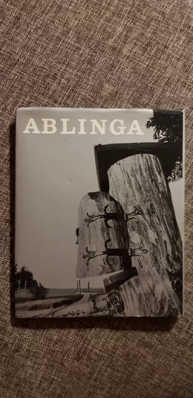 Ablinga - Algimantas Patašius, knyga 3
