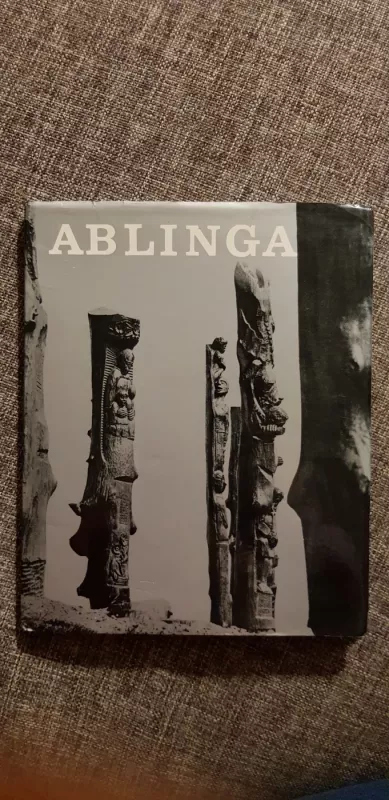 Ablinga - Algimantas Patašius, knyga 2