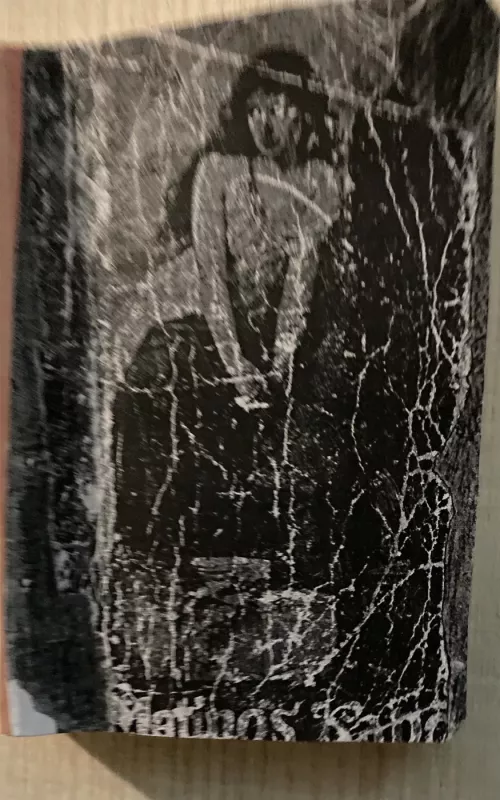 Prie motinos kapo - Autorių Kolektyvas, knyga 2