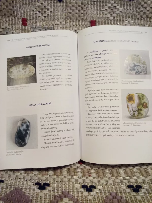 Akmenų knyga - Audronė Ilgevičienė, knyga 4