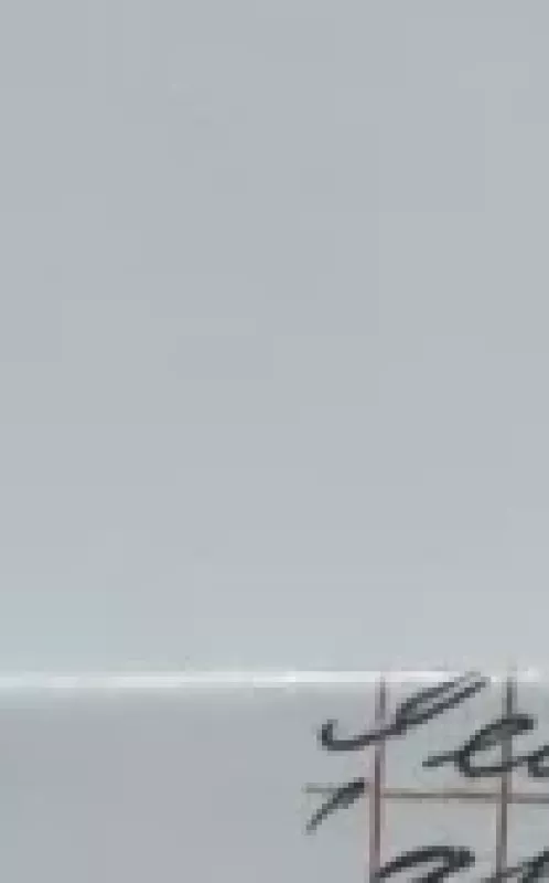 Užrašai - Nicholas Sparks, knyga 3