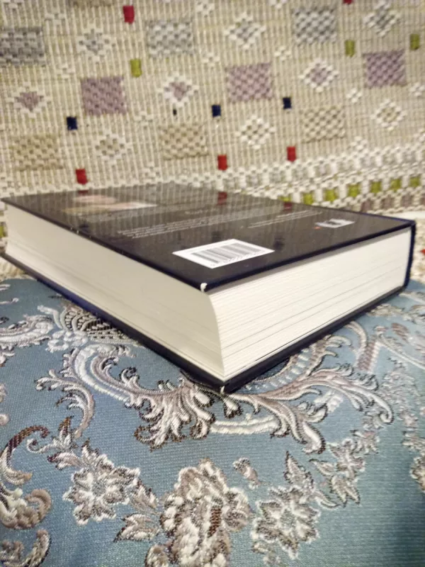 Akmenų knyga - Audronė Ilgevičienė, knyga 5