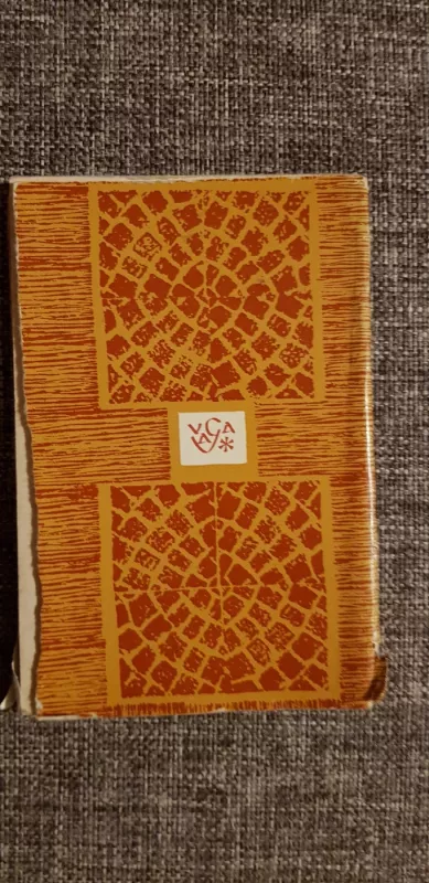 Aikštės - Violeta Palčinskaitė, knyga 3