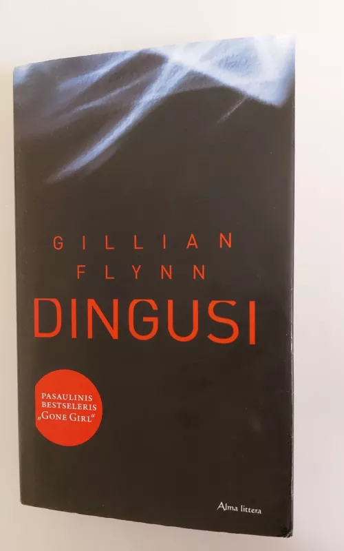 Dingusi - Gillian Flynn, knyga