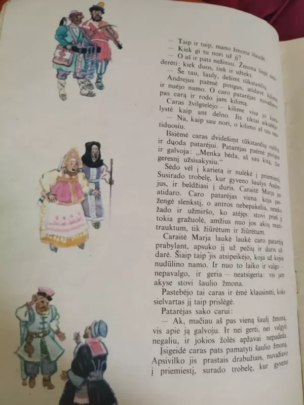 Nueik nežinia kur, atnešk nežinia ką: Rusų liaudies pasaka - Autorių Kolektyvas, knyga 5