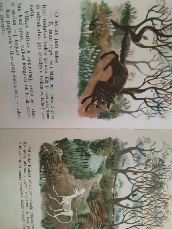 Lokys ir lapė - Autorių Kolektyvas, knyga 5