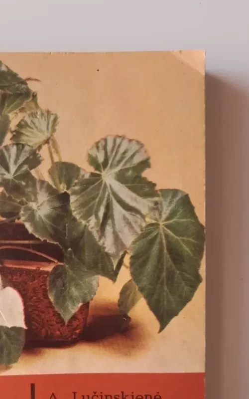 Kambarinės lapinės gėlės - A. Lučinskienė, knyga 2