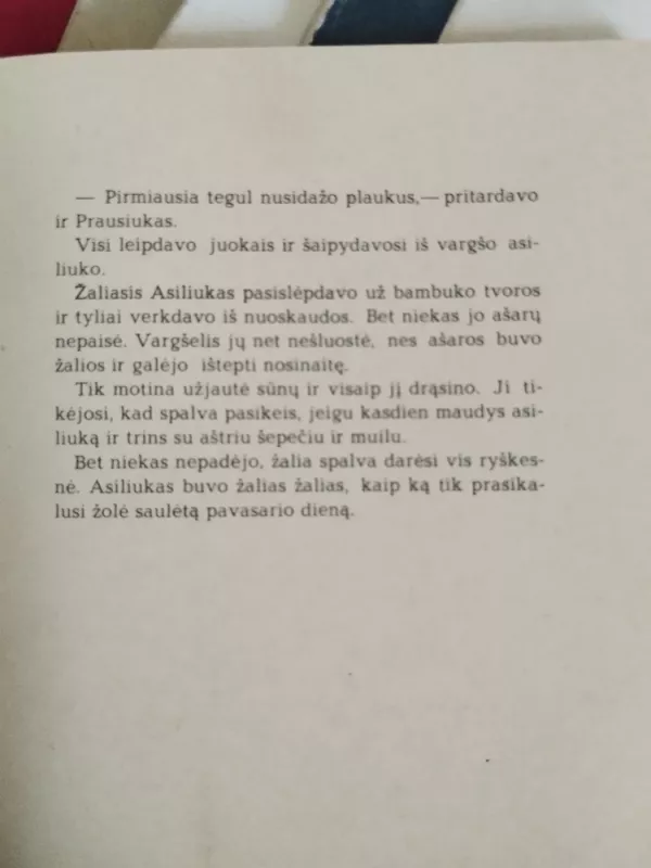 Žaliasis asiliukas - Marija Tereza Kunja di Žakomu, knyga 6
