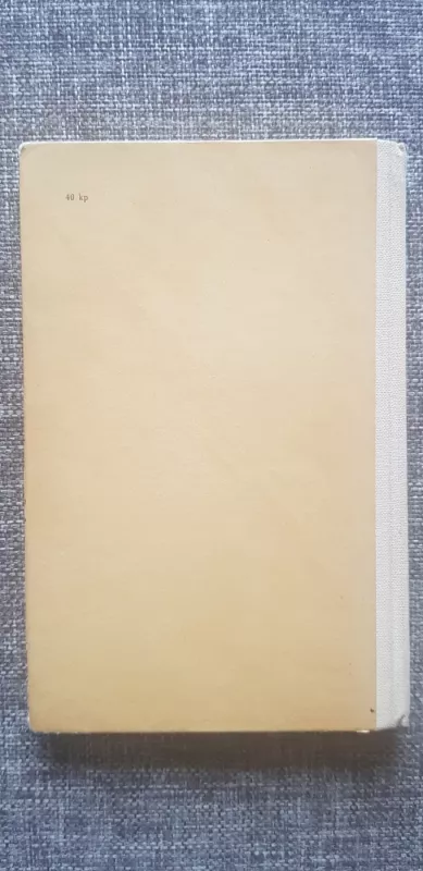 Tetulės Nastasijos pasakos - Monteiras Lobatas, knyga 3