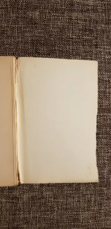 Aikštės - Violeta Palčinskaitė, knyga 4