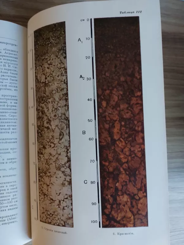 Почвоведение - Д. Виленский, knyga 3