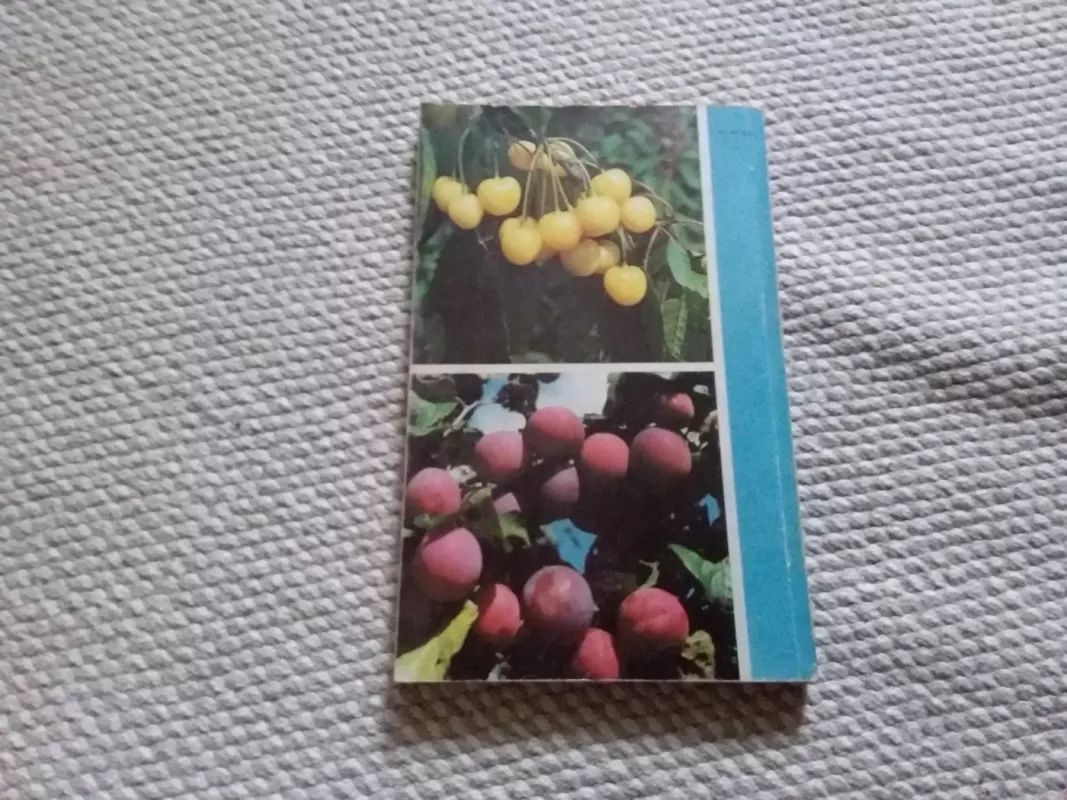 Sodininko žinynas 1988 - Autorių Kolektyvas, knyga 3