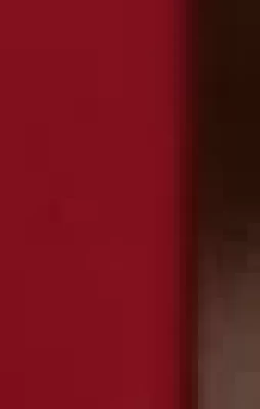 Dingęs be žinios - Simon Beckett, knyga 3