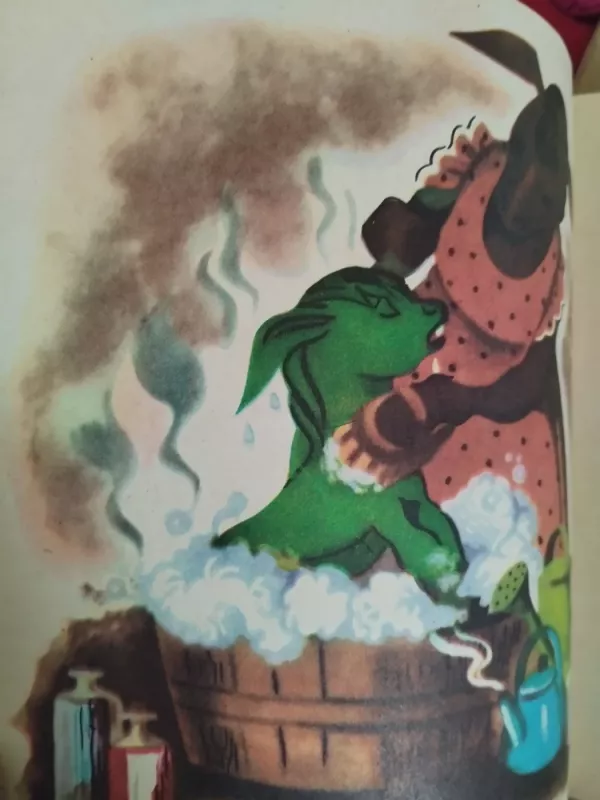 Žaliasis asiliukas - Marija Tereza Kunja di Žakomu, knyga 5